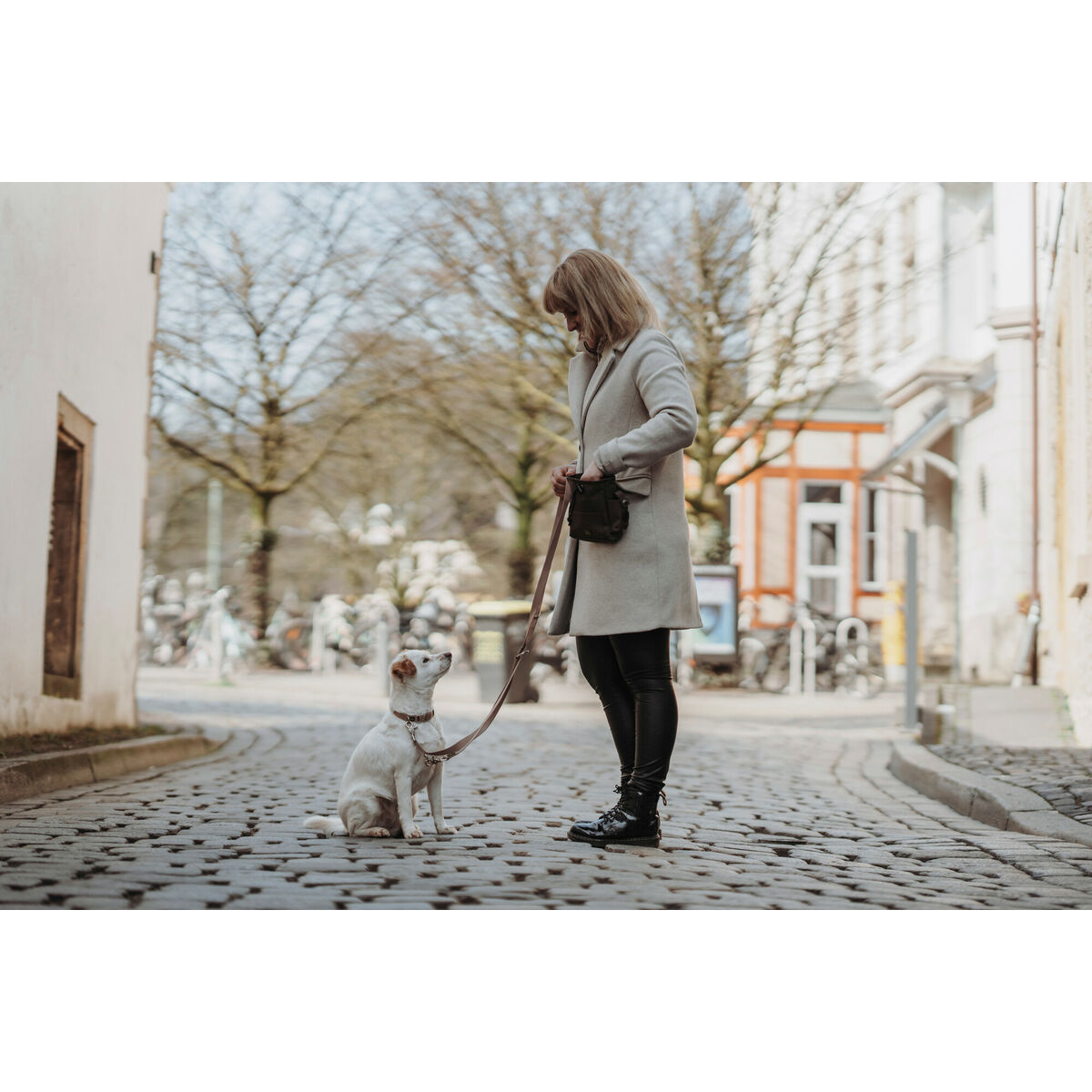 Hundehalsbånd Hunter Inari Beige XL 45-65 cm